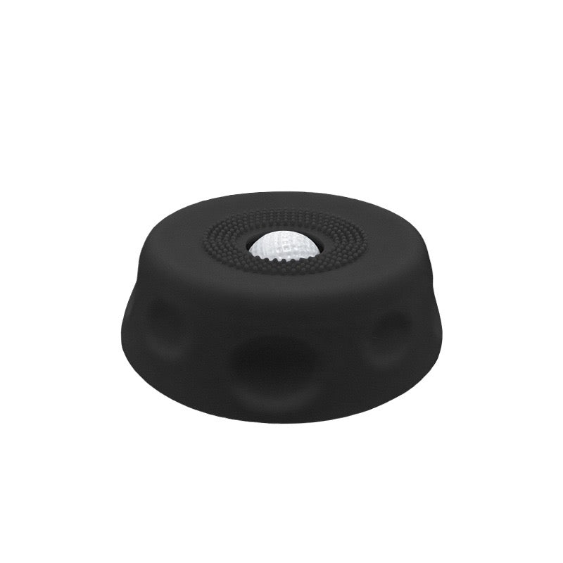 Dog Slow Feeder Lick Bowl