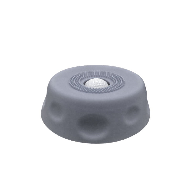 Dog Slow Feeder Lick Bowl