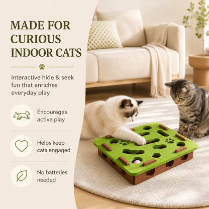 Interactive Cat Puzzle Box Toy with Rolling Balls
